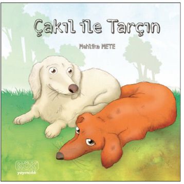 Çakıl ile Tarçın - Mehlika Mete