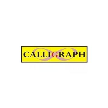 Calligraph Pantum PA210/PA211/P2200/P2500/M6500/M6550/M6600 1600 Sayfa Muadil Toner
