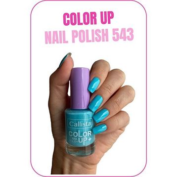 Callista Color Up Nail Polish 543 Rare İn Nature - Mavi Oje