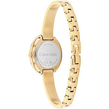 Calvin Klein CK25100203 Kadın Kol Saati