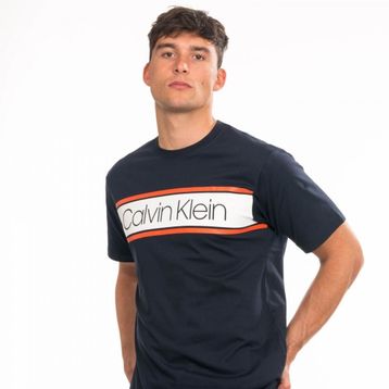 Calvin Klein J30J309629 Lacivert Erkek T-shirt