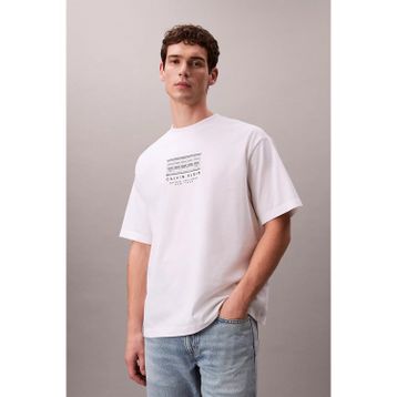Calvin Klein LV04RF823G Erkek Tişört
