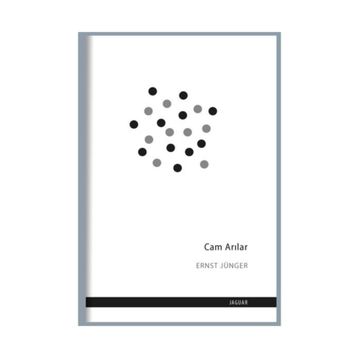 Cam Arılar - Ernst Jünger