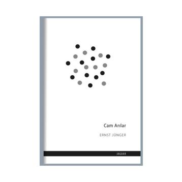 Cam Arılar - Ernst Jünger