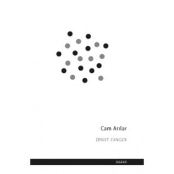 Cam Arılar - Ernst Jünger