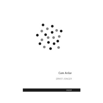 Cam Arılar - Ernst Jünger