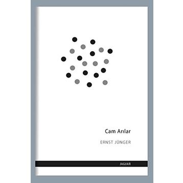 Cam Arılar - Ernst Jünger