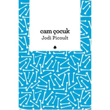 CAM ÇOCUK - JODI PICOULT