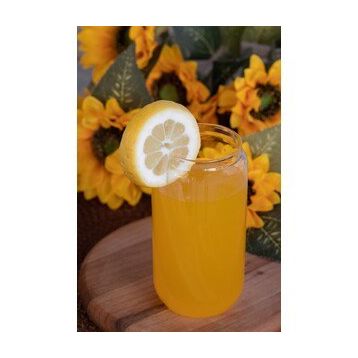 Cambu Borosilikat Drink 420 ml Kokteyl Bardağı