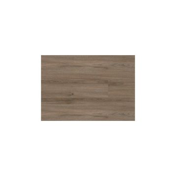 Çamsan Ilgaz Meşe 8 mm Laminant Parke