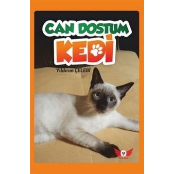 Can Dostum Kedi - Yıldırım Çelebi