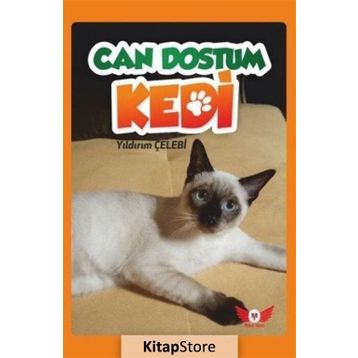 Can Dostum Kedi - Yıldırım Çelebi