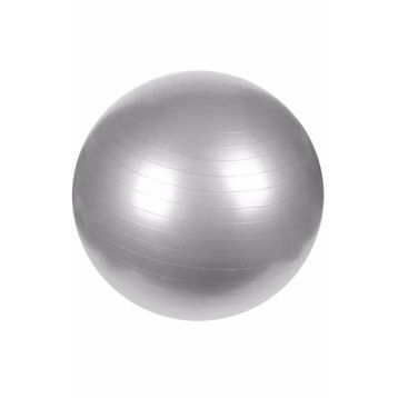 Can Sport 65 cm Pilates Topu