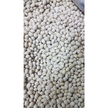 Canlar 1 kg Şeker Fasulye