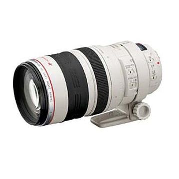 Canon EF 100-400mm f/4.5-5.6L IS USM Lens
