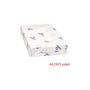 Canson 200 gr 250'li A4 Resim Kağıdı