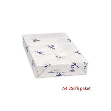 Canson 200 gr 250'li A4 Resim Kağıdı