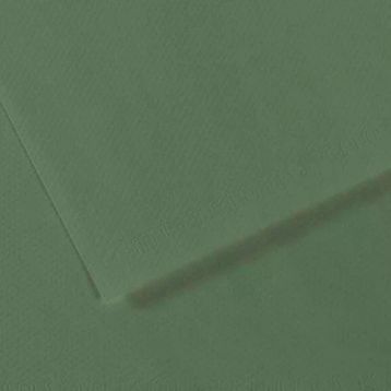 Canson GRN 190 Dokulu Mi-Teintes Sh Canmt 50x65 CM 160 GR Fon Kartonu