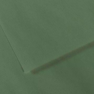 Canson GRN 190 Dokulu Mi-Teintes Sh Canmt 50x65 CM 160 GR Fon Kartonu