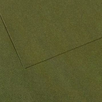 Canson GRN 448 Dokulu Mi-Teintes Sh Canmt 50x65 CM 160 GR Fon Kartonu
