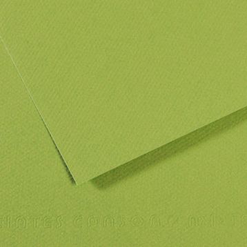 Canson Sh Canmt 50x65 CM 160 GR Pastel Dokulu GRN 475 10'lu Fon Kartonu