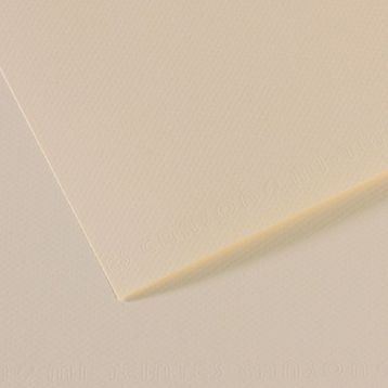 Canson YLW 110 Dokulu Mi Teintes Sh Canmt 50x65 cm 160 gr Fon Kartonu