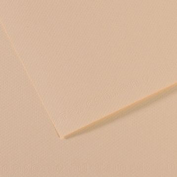Canson YLW 112 Dokulu Mi-Teintes 10'lu 50x65 CM 160 GR Fon Kartonu