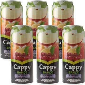Cappy 330 ml Bahçe Karışık Meyve Nektarı