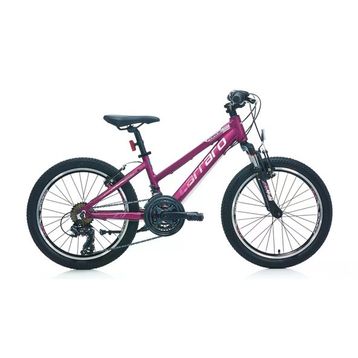 Carraro Force 201 250H V 20 Jant 21 Vites Mat Mürdüm Pembe Kız Çocuk Bisikleti
