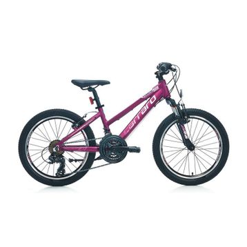 Carraro Force 201 250H V 20 Jant 21 Vites Mat Mürdüm Pembe Kız Çocuk Bisikleti