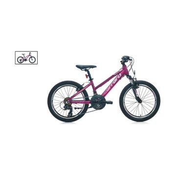 Carraro Force 201 250H V 20 Jant 21 Vites Mat Mürdüm Pembe Kız Çocuk Bisikleti
