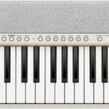 Casio CT-S1 61 Tuşlu Org