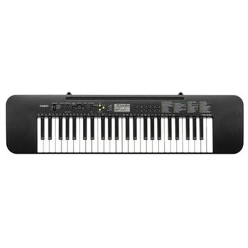 Casio CTK 240 Org