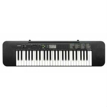 Casio CTK 240 Org