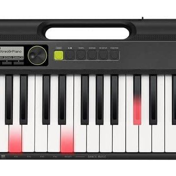 Casio LK-S250 Işıklı 61 Tuşlu Org