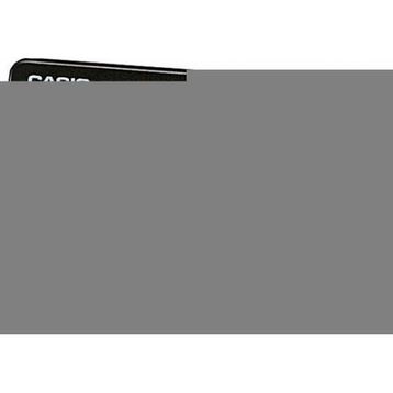 Casio PQ-10-1R Masa Saati
