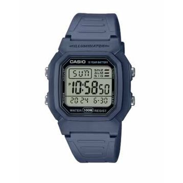 Casio W-800H-2AVDF Erkek Kol Saati