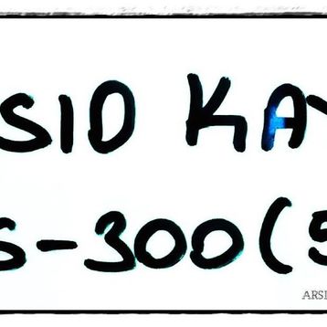 Casio Ws-300 Saat Kordonu Orijinal Kalite 17mm.98.STMR.