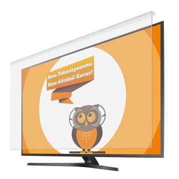 Cast 3mm Vestel 65ud9650t Tv Ekran Koruyucu / Ekran Koruma Paneli