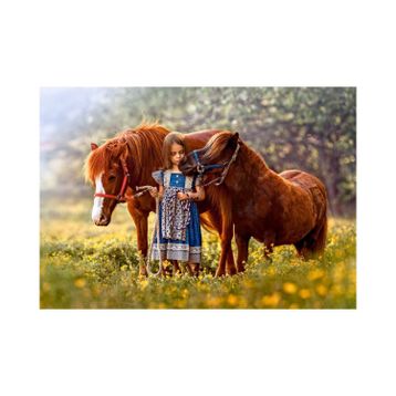 Castorland Beauty Within 500 Parça Puzzle