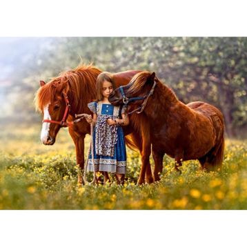 Castorland Beauty Within 500 Parça Puzzle