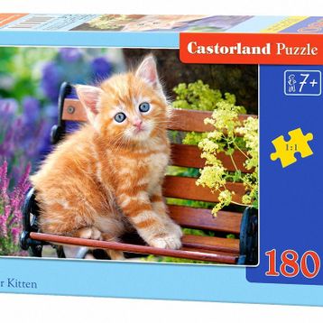 Castorland Ginger Kitten 180 Parça Puzzle