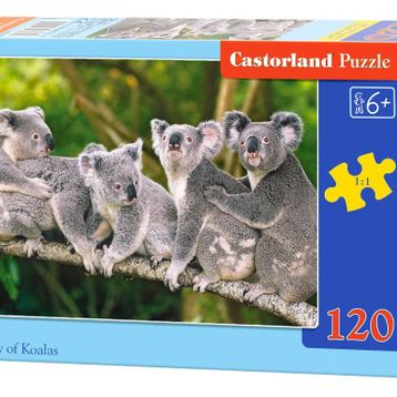 Castorland Koala Ailesi 120 Parça Puzzle