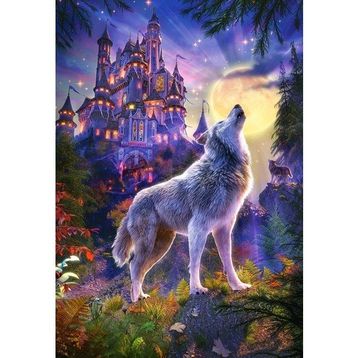 Castorland Kurt Kalesi 1000 Parça Puzzle