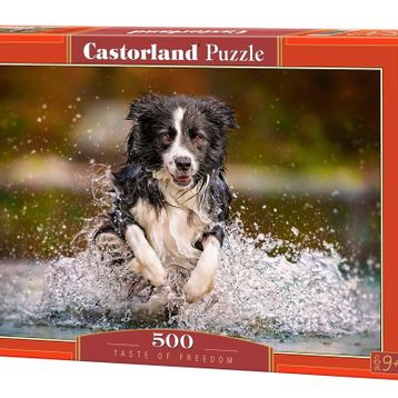 Castorland Özgürlüğün Tadı 500 Parça Puzzle