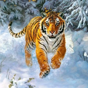Castorland Sibirya İmparatoru 500 Parça Puzzle