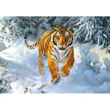 Castorland Sibirya İmparatoru 500 Parça Puzzle