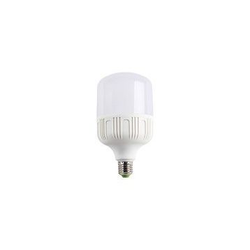 CATA CT 4263 30W LED AMPUL