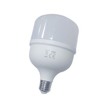 CATA CT 4263 30W LED AMPUL