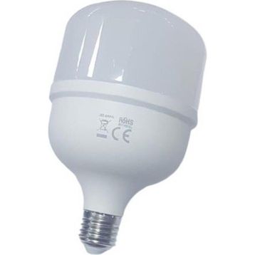 CATA CT 4263 30W LED AMPUL